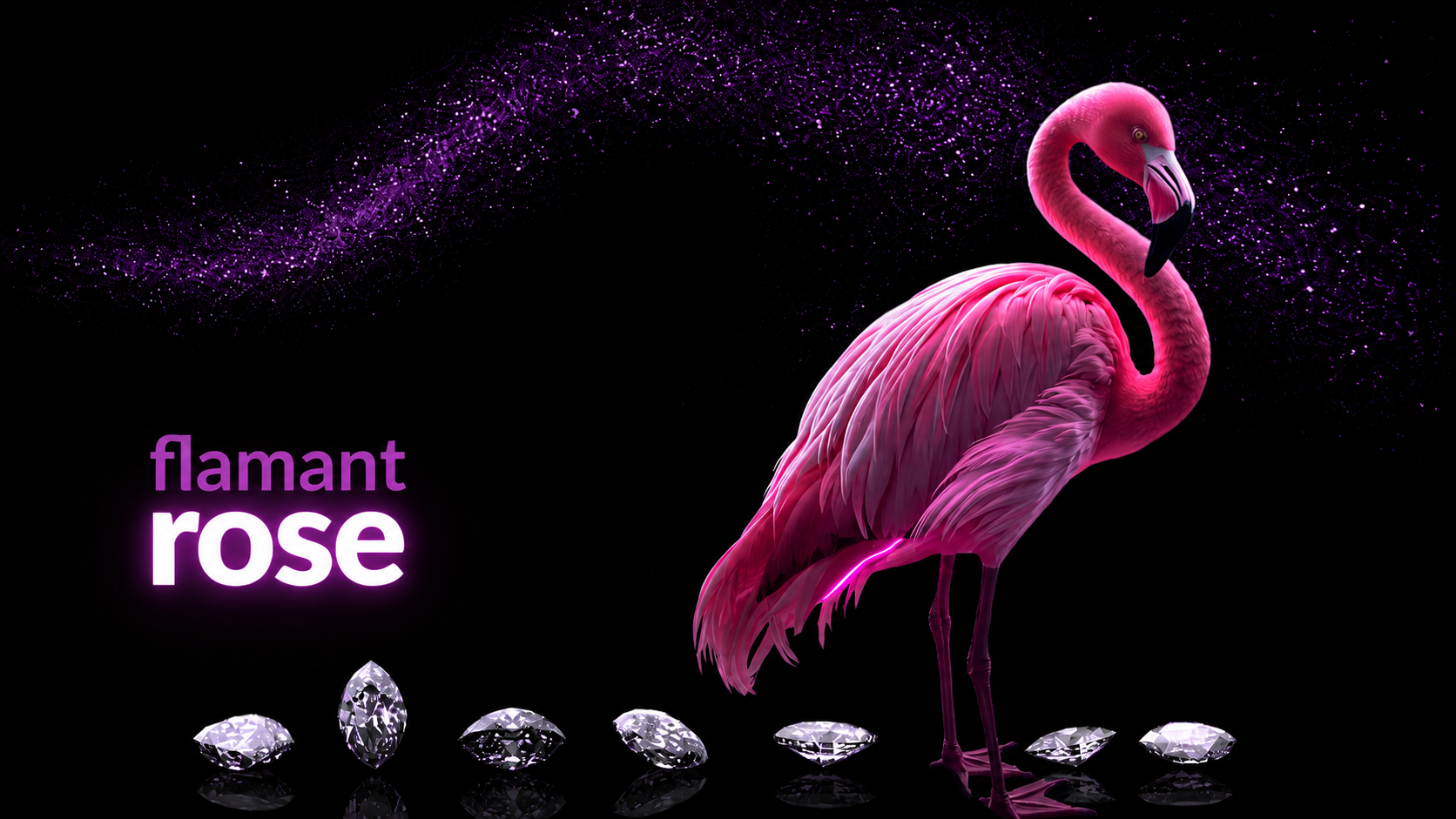  Flamant 🦩 Rose